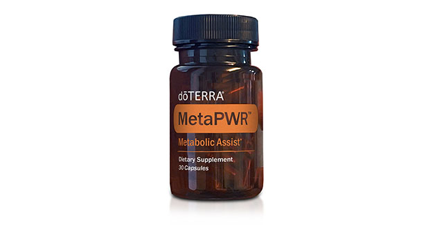 metapwr assist