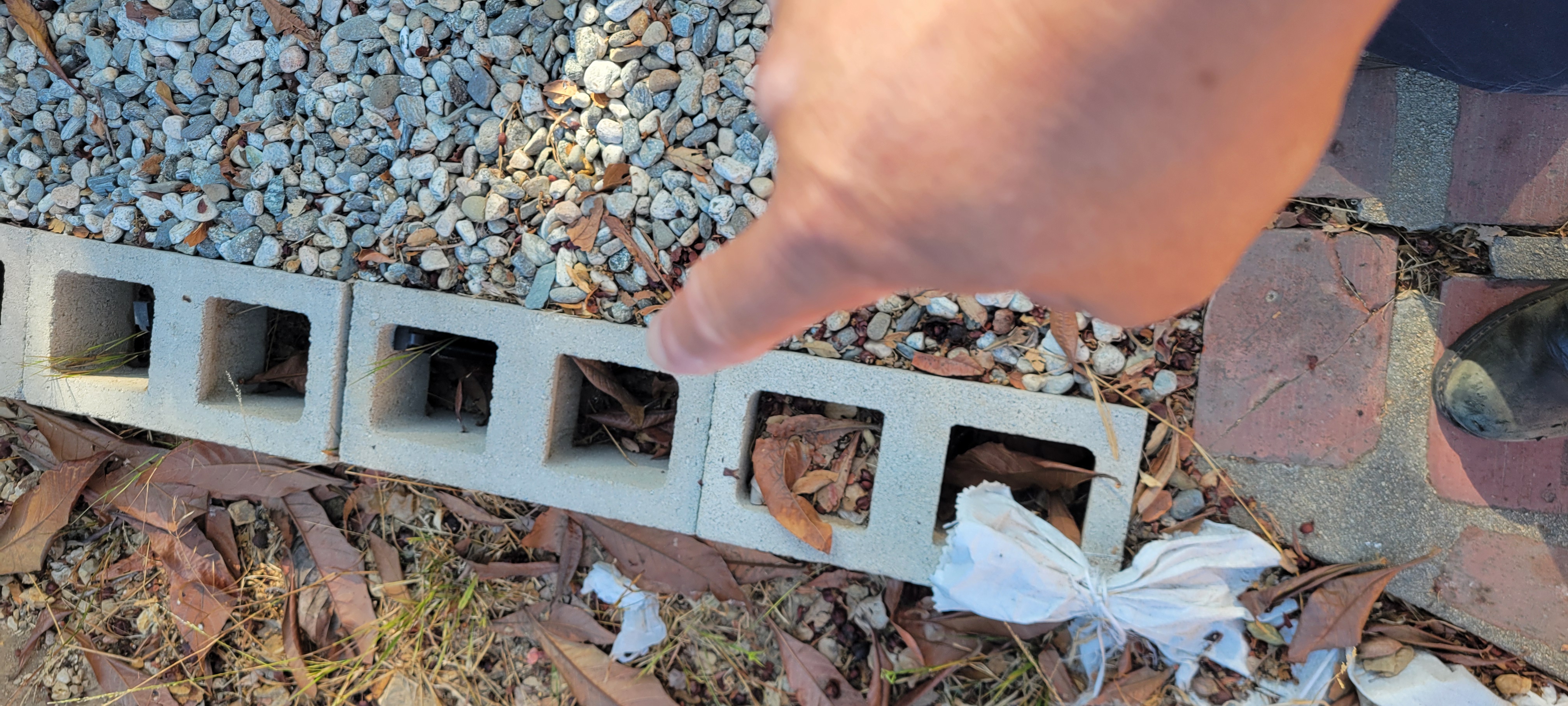 Open cinder block wall with leaves and organic debris collecting inside block openings, creating hidden ant harborage near a home's foundation.