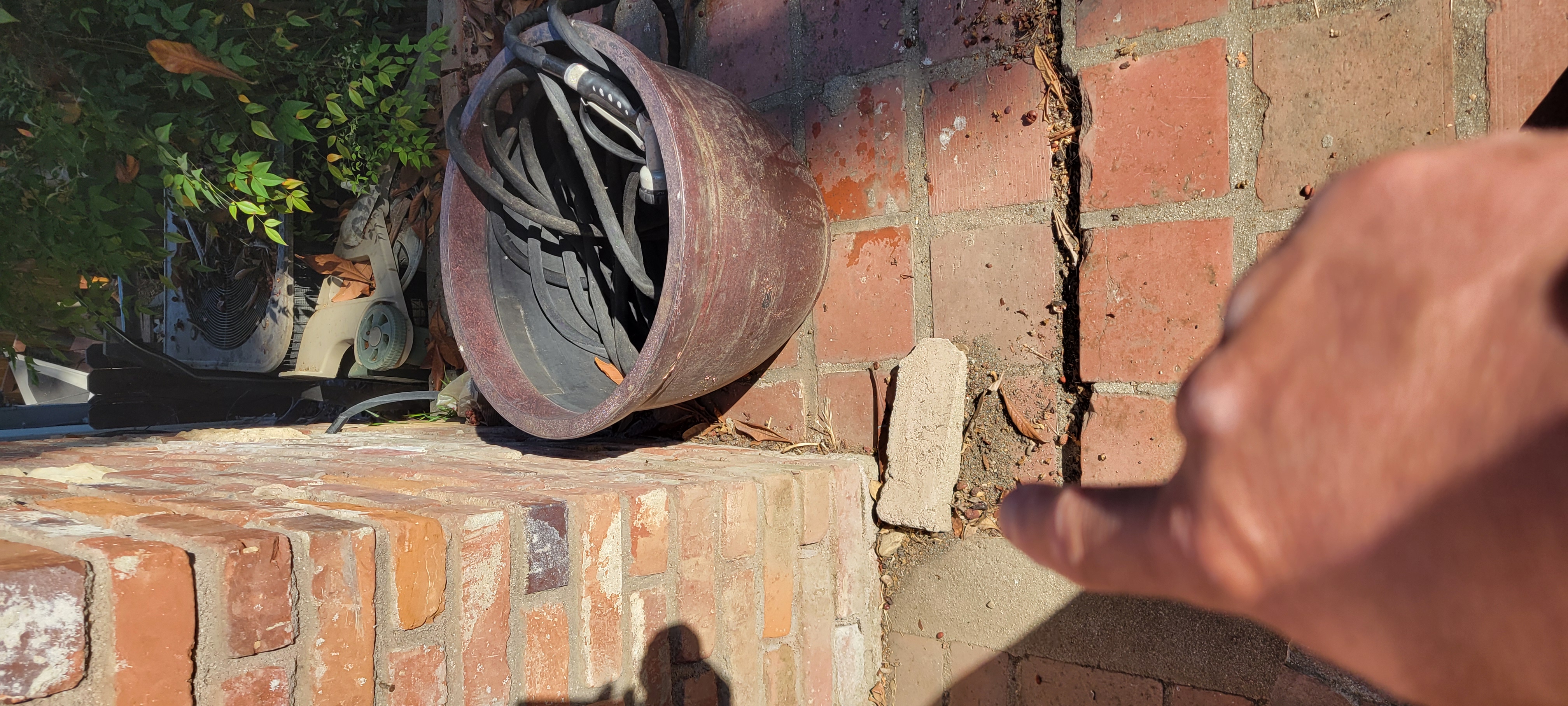 Brick patio with deteriorating mortar joints and gaps beside a home's foundation that may provide hidden entry points for ants.