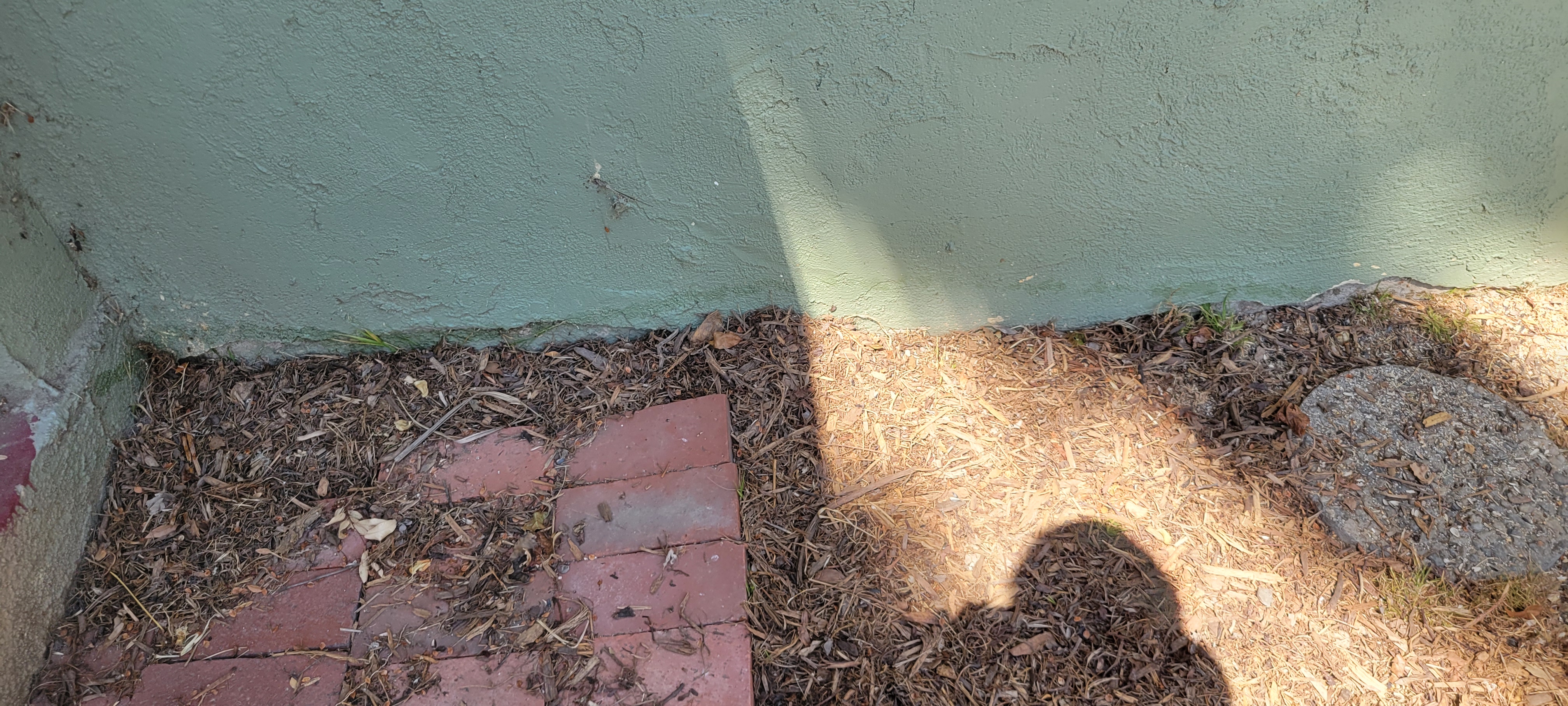 Heavy mulch and organic ground cover against a home's foundation creating moist conditions that attract ant nesting activity.